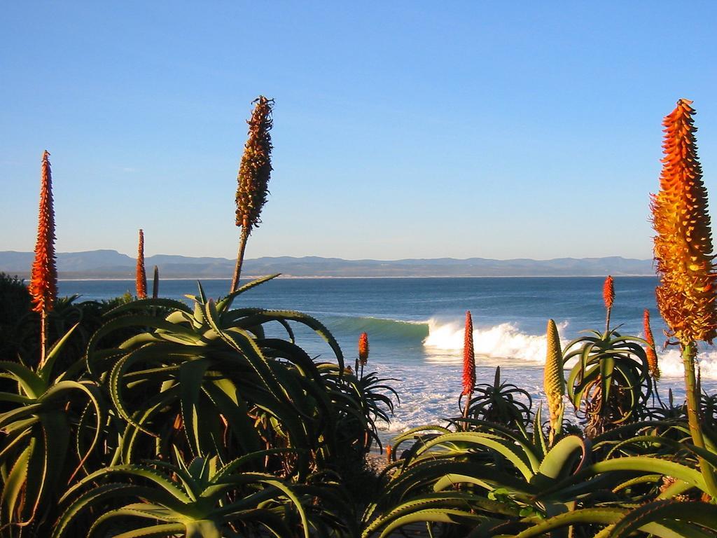 Beach House Hotell Jeffreys Bay Exteriör bild